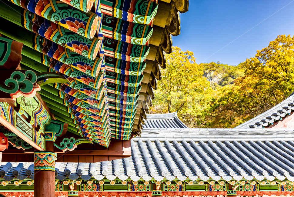 청평사,단청,기와,기와지붕,가을,처마,무늬,단풍,전통가옥,전통건축물,건축물,지붕,roof,한국전통,한국문화,korean traditional,korean culture,건축물,건물외관,exterior,building,structure,architecture,construction