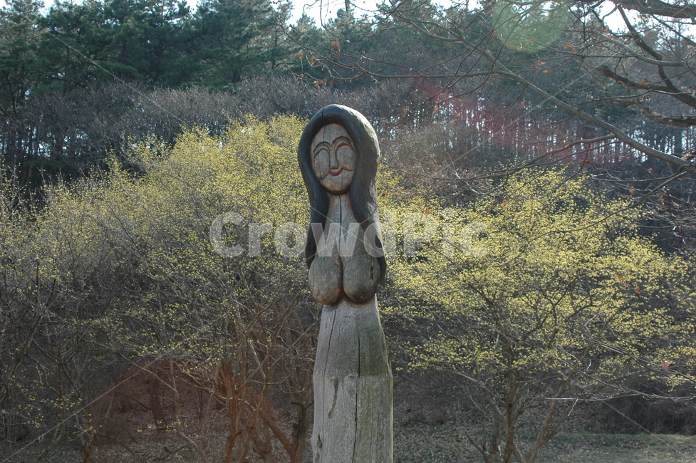 장승,산수유,축제,산수유축제,풍경,노란꽃,산수유꽃,산수유나무,한국전통,한국문화,korean traditional,korean culture,조각상,동상,석상,조형물,statue,bronze statue,stone statue