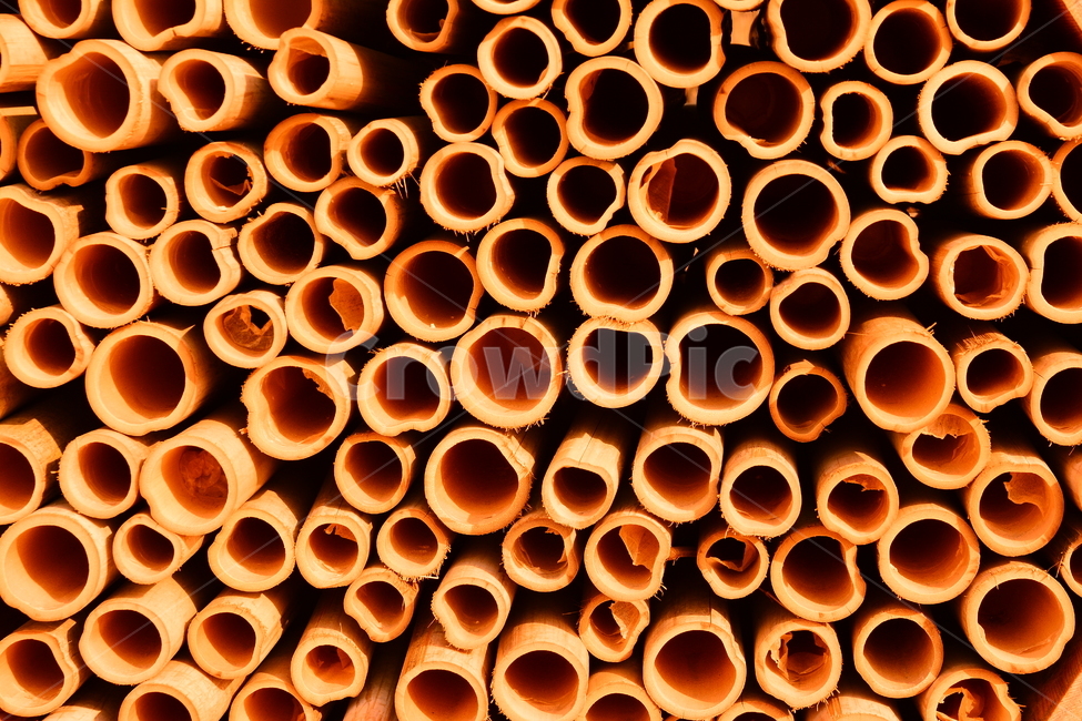 패턴,대나무,원통형,원형,빈티지,텍스쳐,나무,바탕,배경,나뭇결,wood,백그라운드,질감,표면,texture,background,pattern,vintage,나이,흔적,무늬,텍스처,질감,패턴,texture,pattern