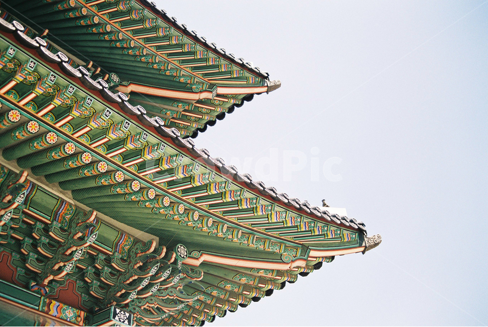 지붕,단청,고궁,전통,필름,한국적,한국전통,한국문화,korean traditional,korean culture,랜드마크,landmark,tourist attraction,한국랜드마크,한국관광지,한국명소,korea landmark,korea tourist attraction,건축물,건물외관,exterior,building,structure,architecture,construction