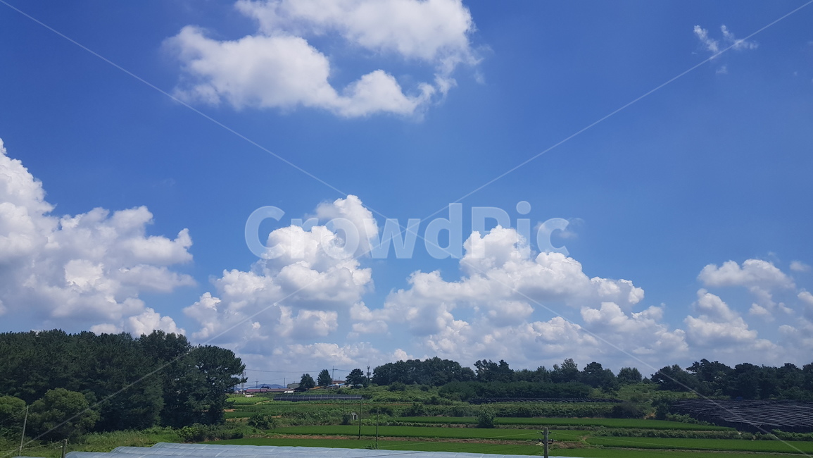 nature,자연,sky,하늘,구름,cloud,outdoors,자연,풍경,nature,landscape,weather,날씨,cumulus,적운,옥외