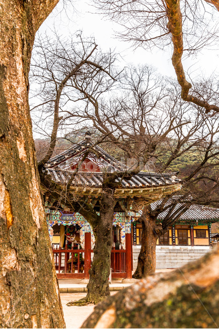 종각,기와,사찰,전통,문화유산,관광명소,한국전통,한국문화,korean traditional,korean culture,종교,신앙,religion,belief,faith
