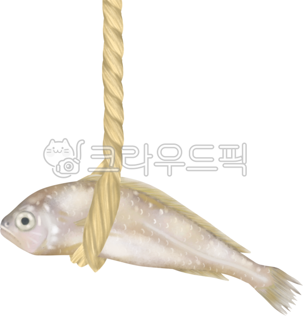 굴비,조기,생선,수산물,보리굴비,새끼줄,자린고비,영광굴비