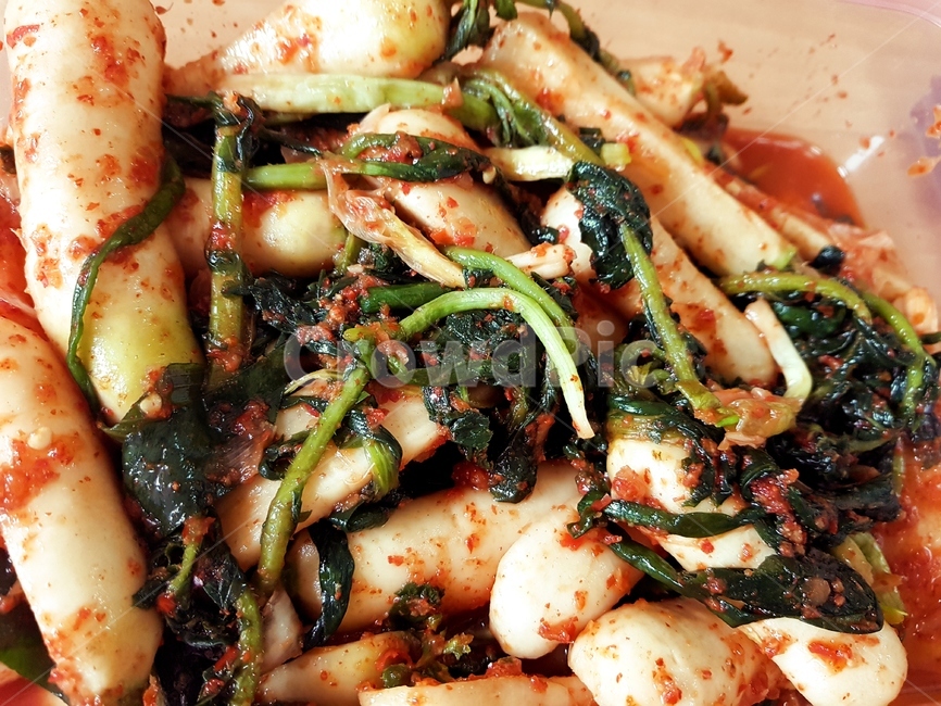 총각김치,무,반찬,김치,덜익은총각김치,덜익은김치,담근김치