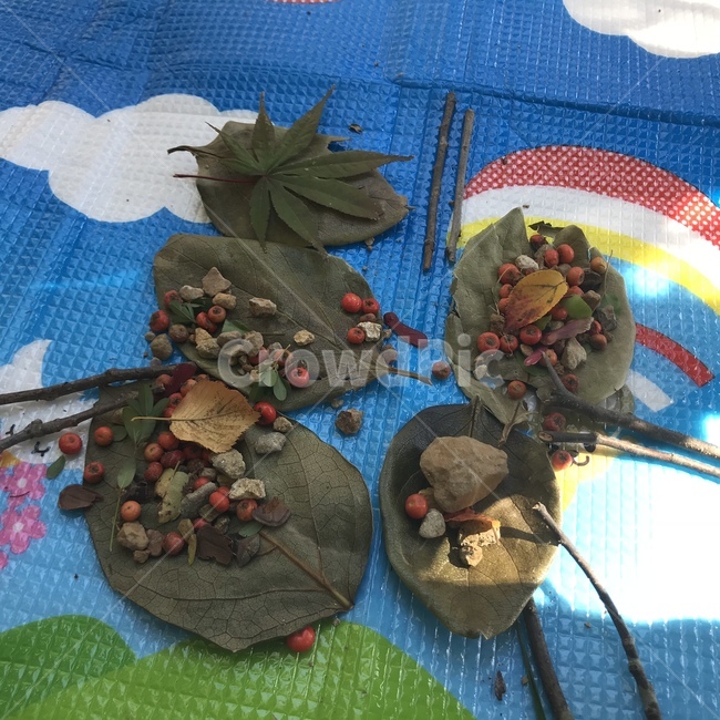 자연,학습,공부,돗자리,자연물
