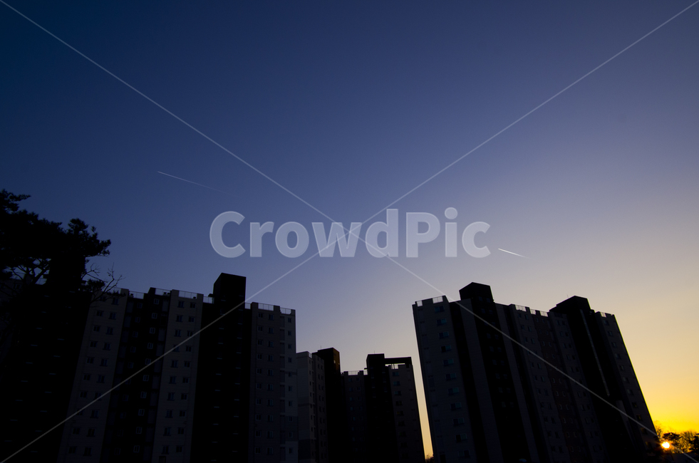 비행운,contrail,구름,실루엣,노을,그림자,풍경,경치,하늘