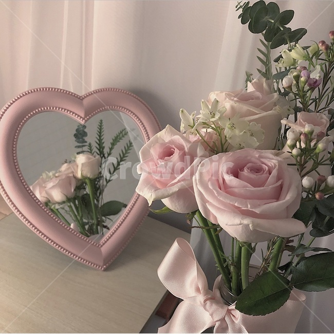 plant,식물,blossom,꽃,flower,꽃꽂이,flowerarrangement,거울