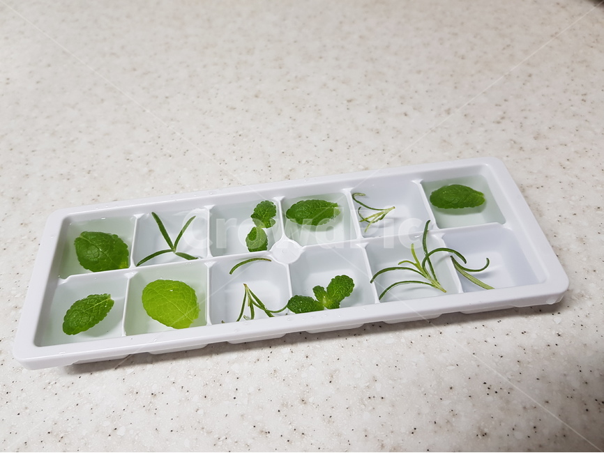 허브얼음,허브,얼음,herb,허브아이스,herbice,로즈마리,애플민트,rosemary,applemint,여름,계절,summer,season,nature,자연