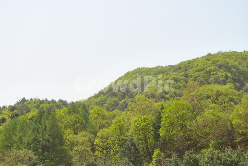 자연,nature,옥외,outdoors,산