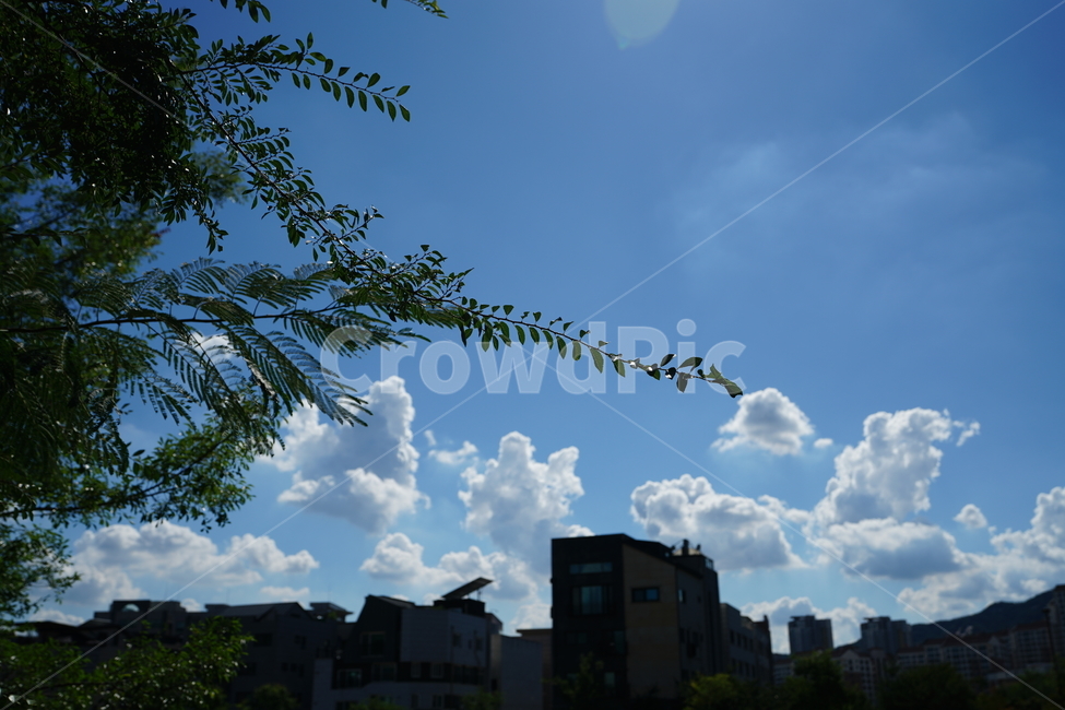 구름,하늘,날씨,파랑,블루,풍경,sky,cloud,색감,blue,자연,풍경,nature,landscape,weather,cumulus,적운,outdoors,옥외