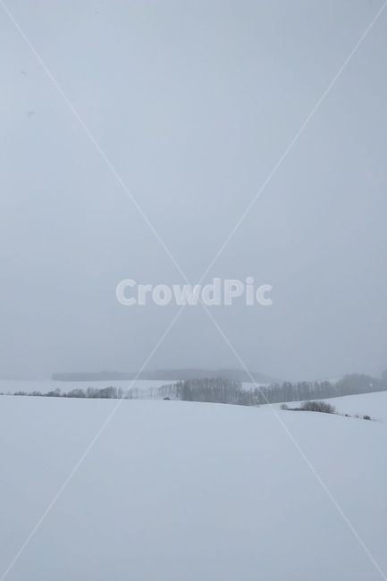 겨울,winter,눈,snow,자연,nature