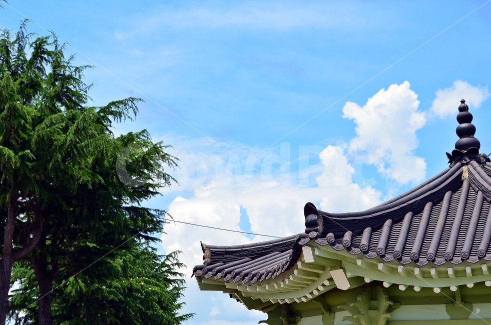 하늘,구름,푸르른,한옥,기와,자연,풍경,nature,landscape,한국전통,한국문화,korean traditional,korean culture,architecture,건축물,building,건물,temple,신전