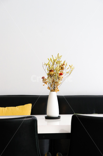 카페,가구,식물,자연,인테리어,furniture,plant