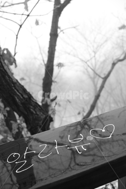 흑백,사랑해,하트,알라뷰,러브,사랑,인연,커플,감성,감정표현,기분,feeling,emotion,흑백,모노톤,monochrome,black and white