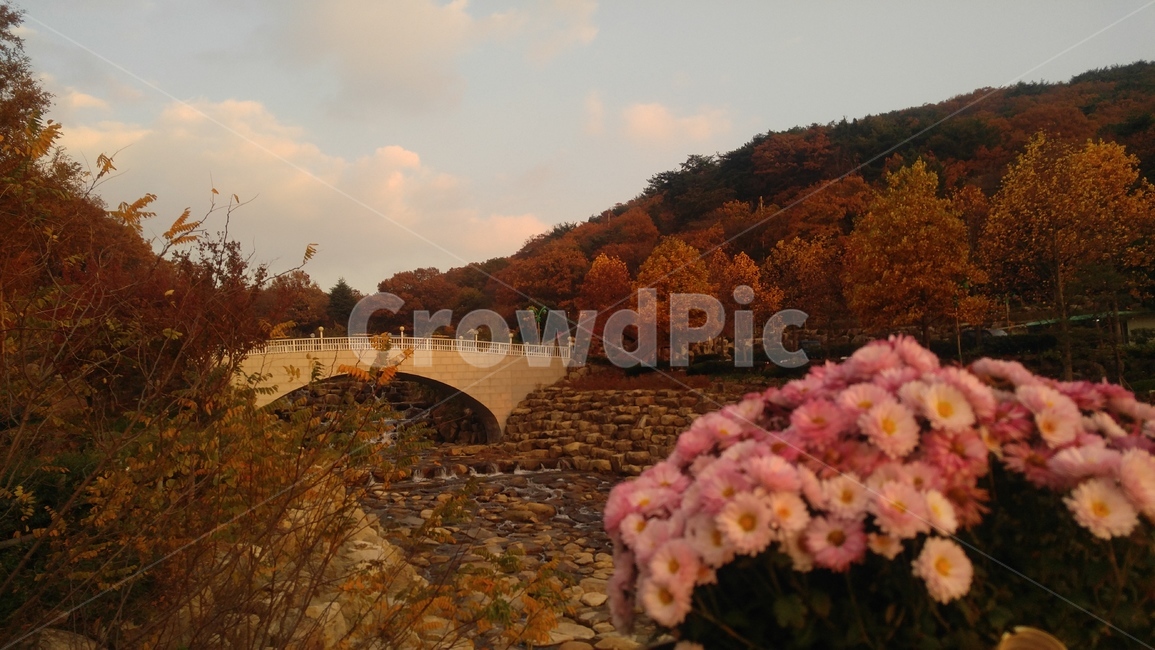 화명수목원,가을,다리,단풍,수목원
