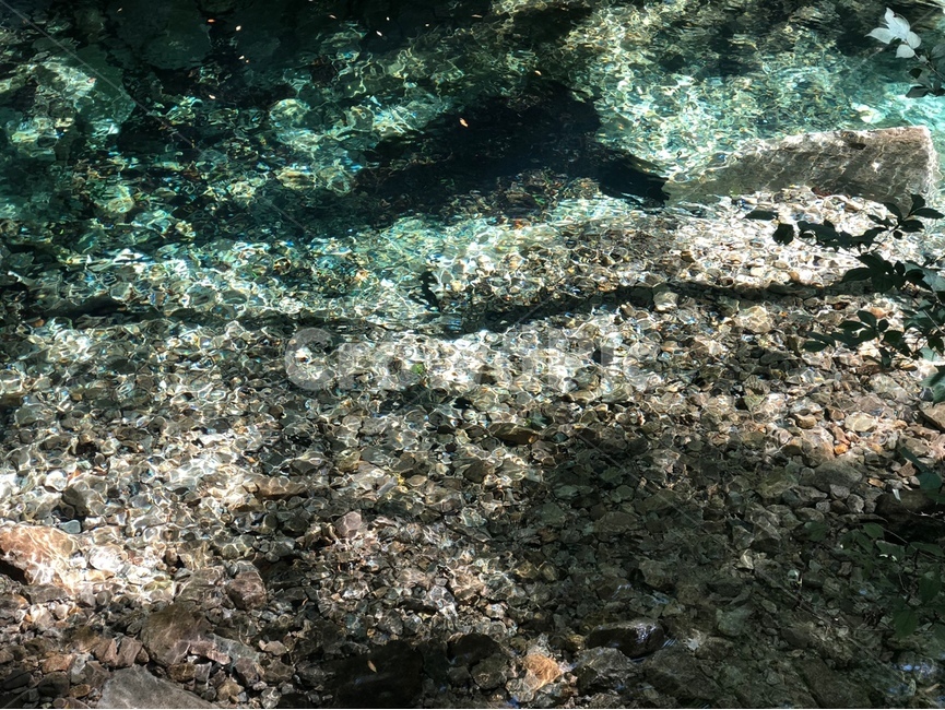계곡,물,water,자연,시원한,nature