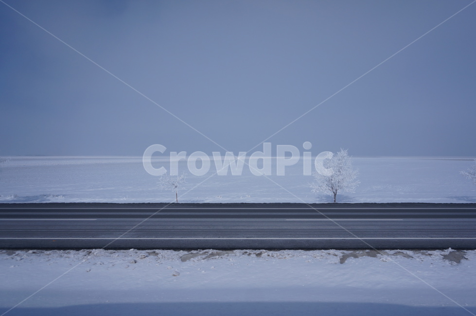 눈,하얀,자연,풍경,겨울,snow,winter,차가운,cold,터키,turkey,겨울,계절,winter,season