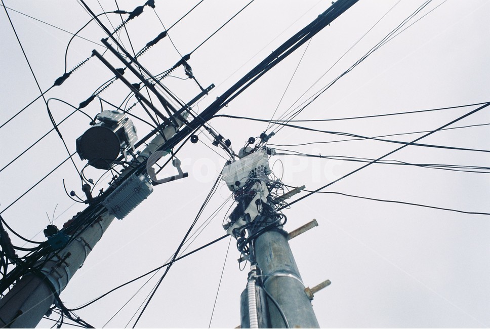 전봇대,전선,필름사진,utilitypole,전신주