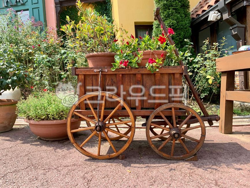 spring,pot,wagon,wheel,flower cart,garden,wooden wheel,wooden cart,flower