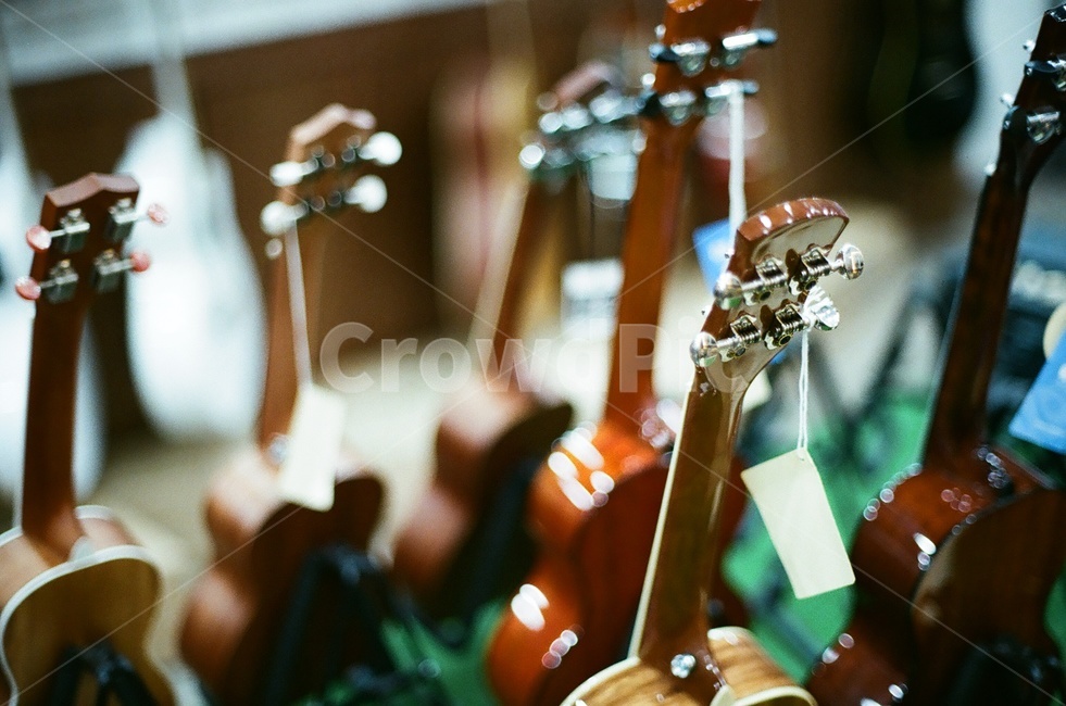 기타,어쿠스틱기타,우쿨렐레,기타뒤태,악기,현악기,감성,sensible,feeling,악기,음향기기,musical instrument,musical equipment