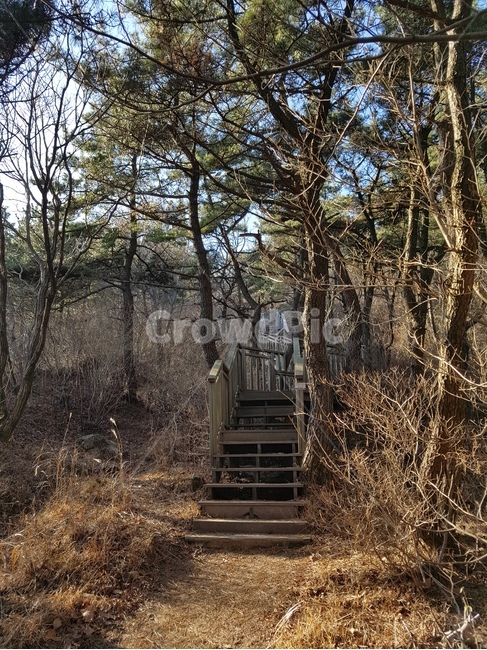 산,자연,나무,mountain,tree,nature,등산로,오솔길,trail,outdoors,계단,stairs
