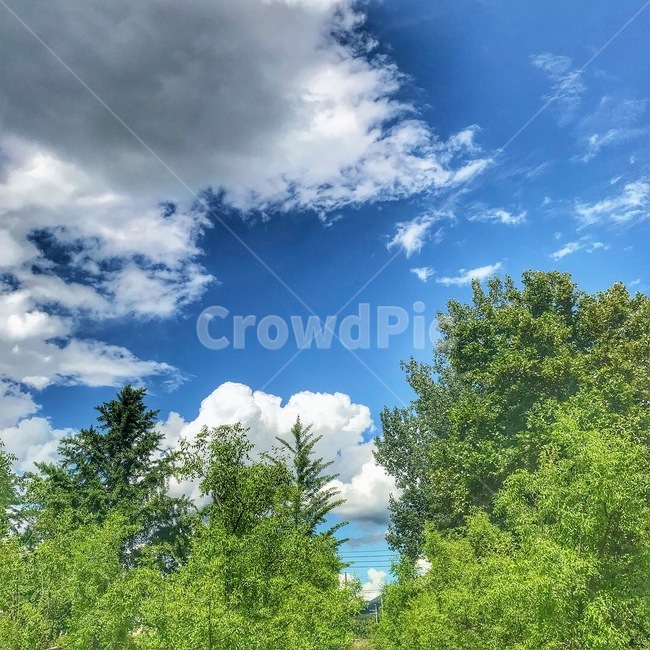 하늘,구름,화창함,풍경,맑은하늘,자연,빛,해,자연,풍경,nature,landscape,outdoors,옥외,weather,날씨,cumulus,적운,cloud,sky