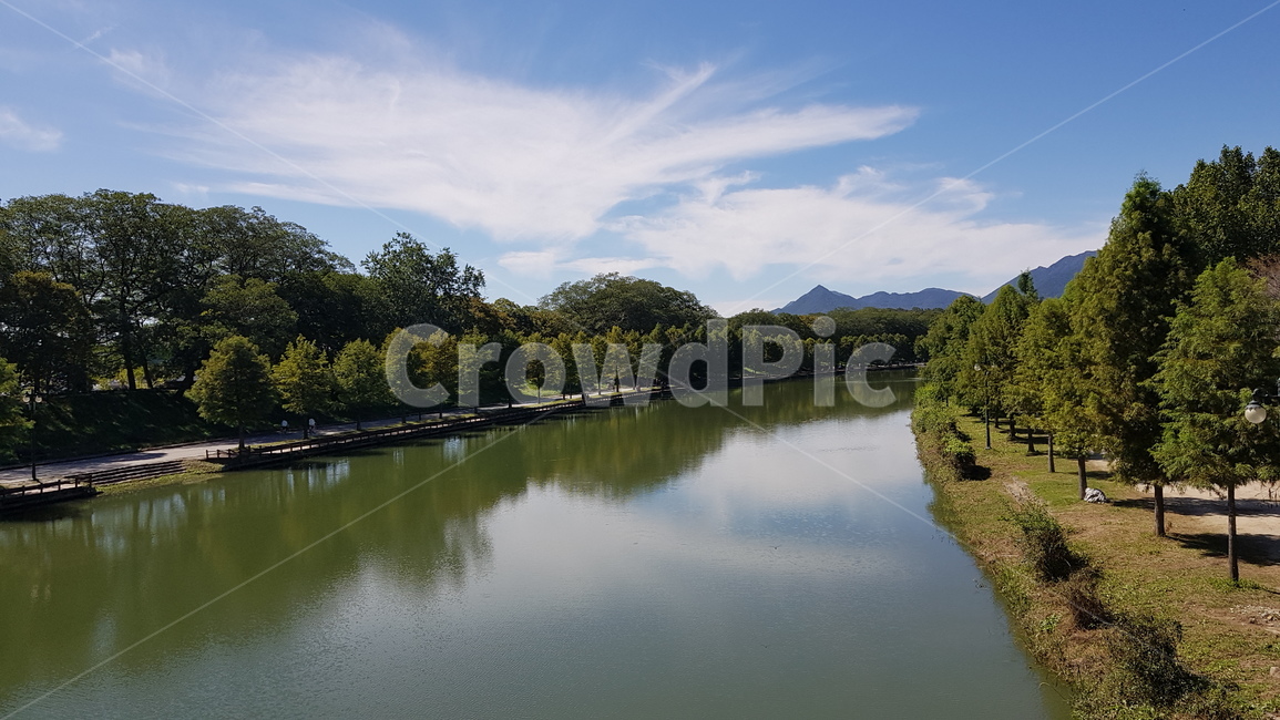 영산강,담양,나무,자연,배경,풍경,강,자연,풍경,nature,landscape