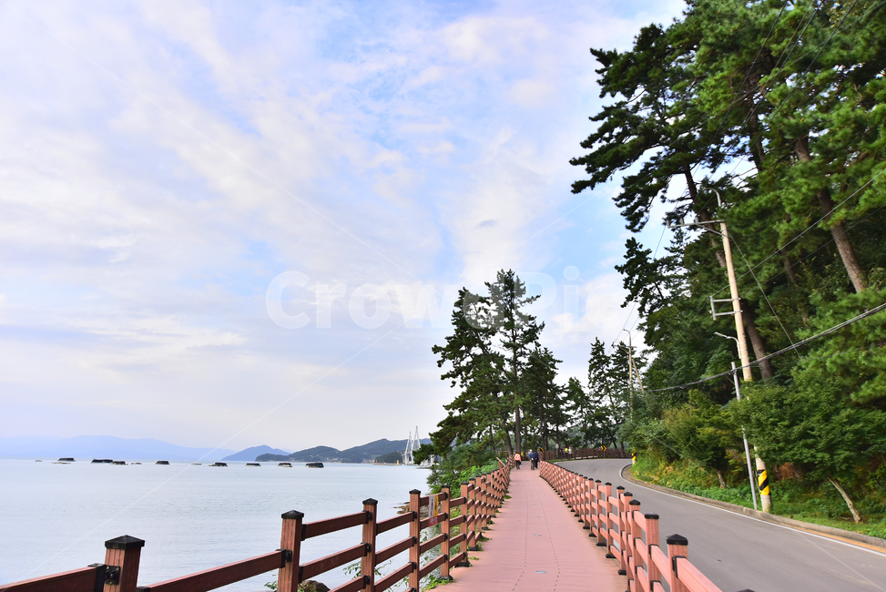 바닷가길,소록도,해안산책로,바다,물,소나무,해송,숲,나무,tree,seaside,beach,coast,theseaside,theseashore,pinetree,road,풍경,배경,바닷가풍경,가로수,칩엽수,background,한적한,힐링,healing,난간,백그라운드,한국자연경관,다도해,남해안,섬,도로,포장도로,자연,풍경,nature,landscape,railing,handrail,banister
