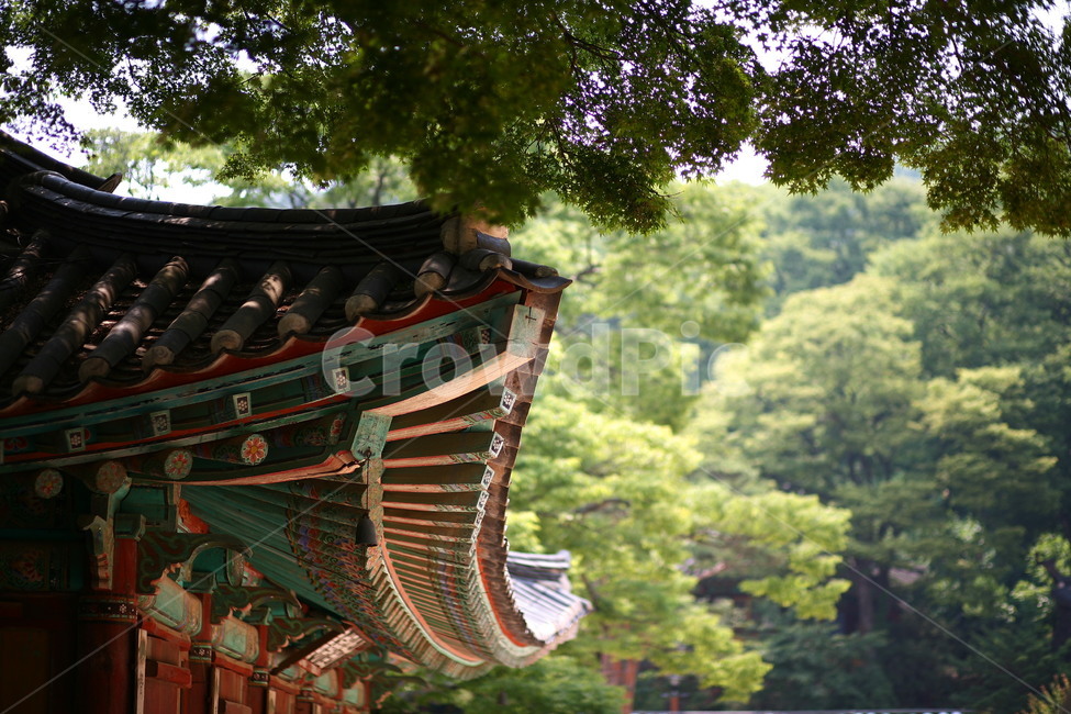 건물,건축물,temple,자연,풍경,한국전통,한국문화,korean traditional,korean culture
