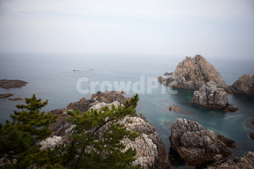 wave,nature,자연,outdoors,water,해안선,shoreline,ocean,sea,바다,암초,동해,삼척,장호항,바위,돌,rock,자연,풍경,nature,landscape