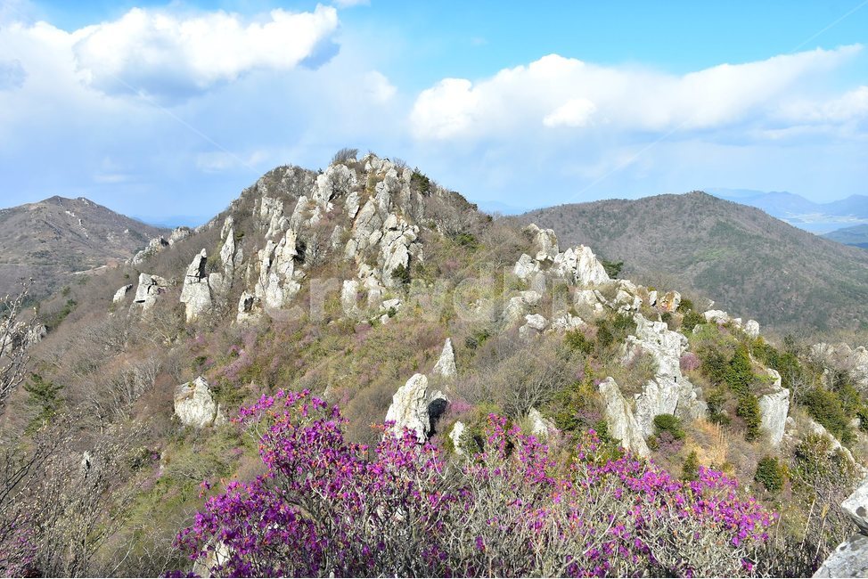 주작산,덕룡산,종주,진달래,풍경,기암,바위,비경,봄풍경,진달래꽃,강진,명산,산행,등산,마운틴,힐링,mountain,landscape,자연,natural,자연,풍경,nature,landscape,한국자연풍경,한국자연경관,korea nature landscape,outdoors,옥외