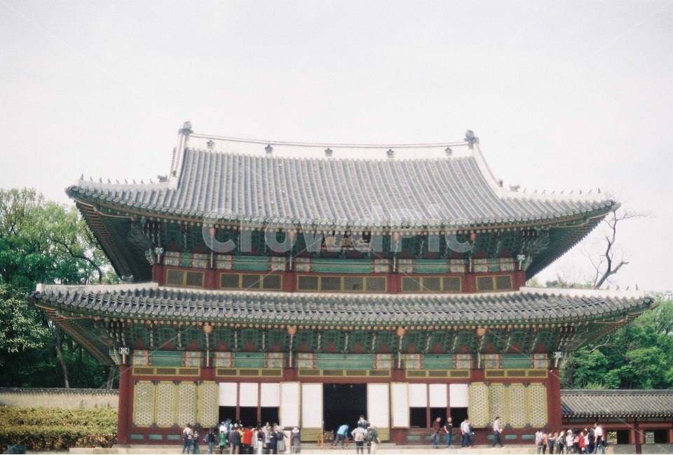 한옥,전통기와,기와집,한국전통,기와,창덕궁,한국전통,한국문화,korean traditional,korean culture,랜드마크,landmark,tourist attraction,한국랜드마크,한국관광지,한국명소,korea landmark,korea tourist attraction,사람들,대중,군중,other people,crowd,건축물,건물외관,exterior,building,structure,architecture,construction