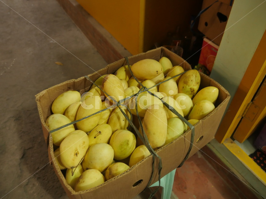 fruit,juice,beverage,drink,philippines,mango,yellow,과일,과일박스,망고,망고박스,필리핀,노란색,음식,식재료,요리,food,cook,meal,dishes,food reserves,과일,열매,fruit
