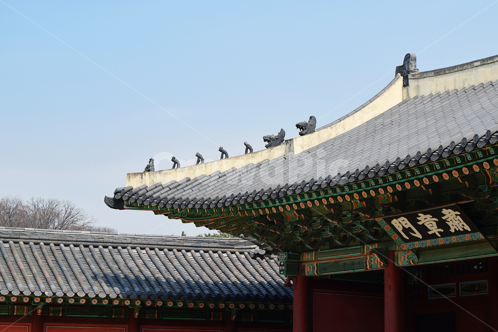 창덕궁,한국문화,고궁,고건축물,기와,지붕,건물외관,과거,역사,하늘,전통,실외,문화재,한옥,처마,한국전통,한국문화,korean traditional,korean culture,건축물,건물외관,exterior,building,structure,architecture,construction