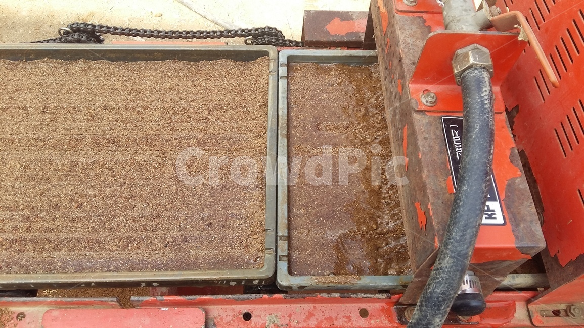 모판,볍씨,벼농사,모판만들기,벼,산업,industry,industrial,농업,농사,agriculture,farming,farming industry,사물,물건,오브젝트,thing,object,matter