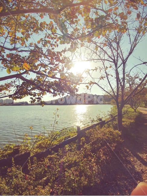 호수,산책,햇살,오후,나무,가을,계절,fall,autumn,season,자연,풍경,nature,landscape,flare,플레어,light,빛,outdoors,옥외,water,물,sunlight,햇빛
