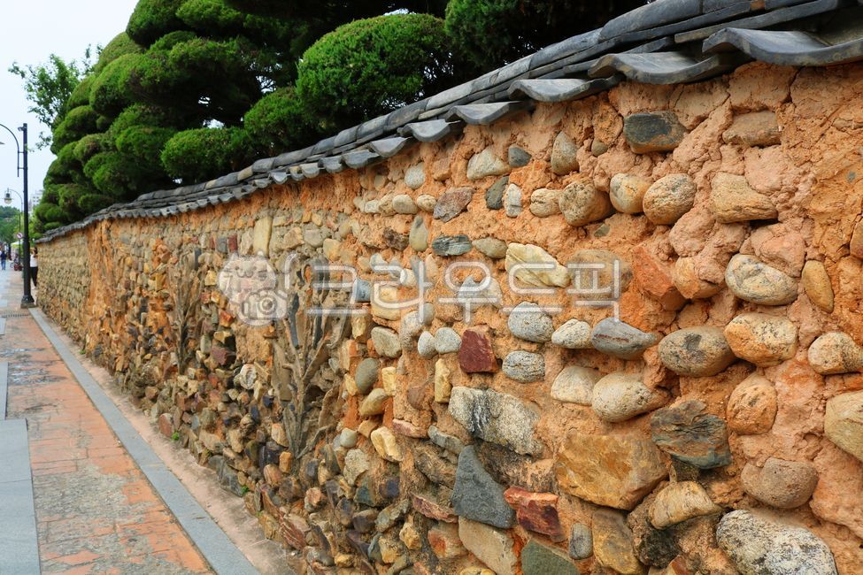 traditional village,Jeollado,pine tree,Jeollabuk do,earthen wall,tree,soil,ocher,Jeonju,softwood,Hanok,Town,tile roof,mud wall,Jeonju Hanok Village,plant,tile,stonewall,wall