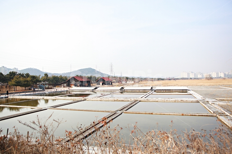 염전,소금창고,풍경,풍광,배경,소금,산업,industry,industrial