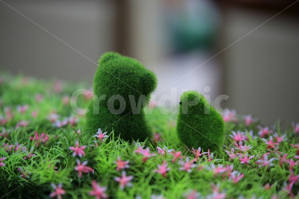 뒷모습,장식,인테리어,곰,새,잔디,정원,식물,자연,plants,nature,인테리어,실내디자인,interior design