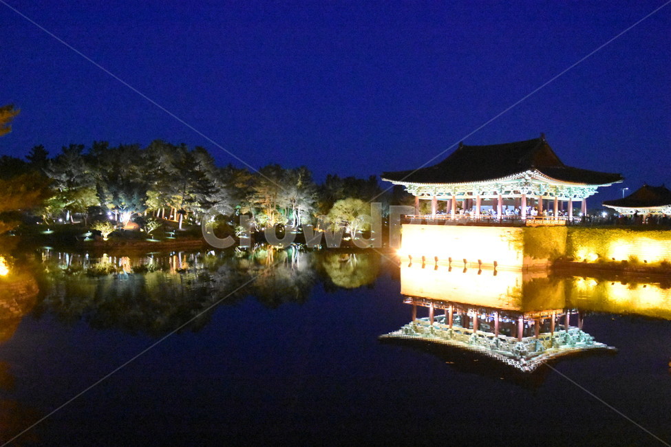 경주,안압지,경주야경,안압지야경,풍경,동궁과월지