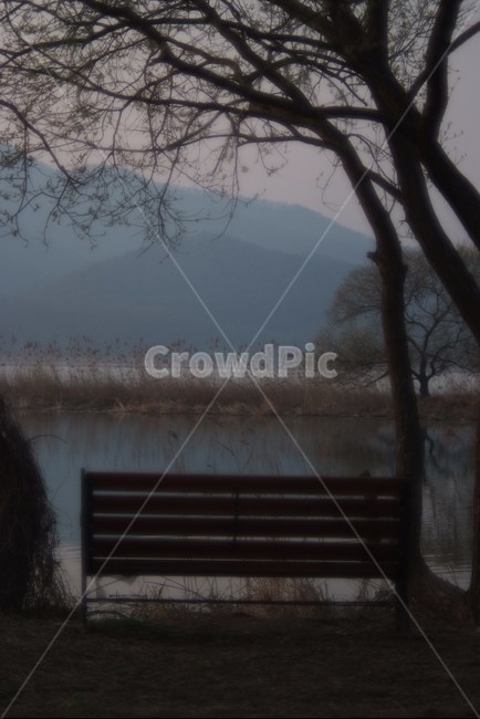 두물머리,기다림,벤치,새벽,의자,아침,자연,호수,나무,실루엣