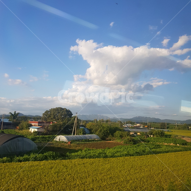 하늘,구름,풀,sky,cloud,grass