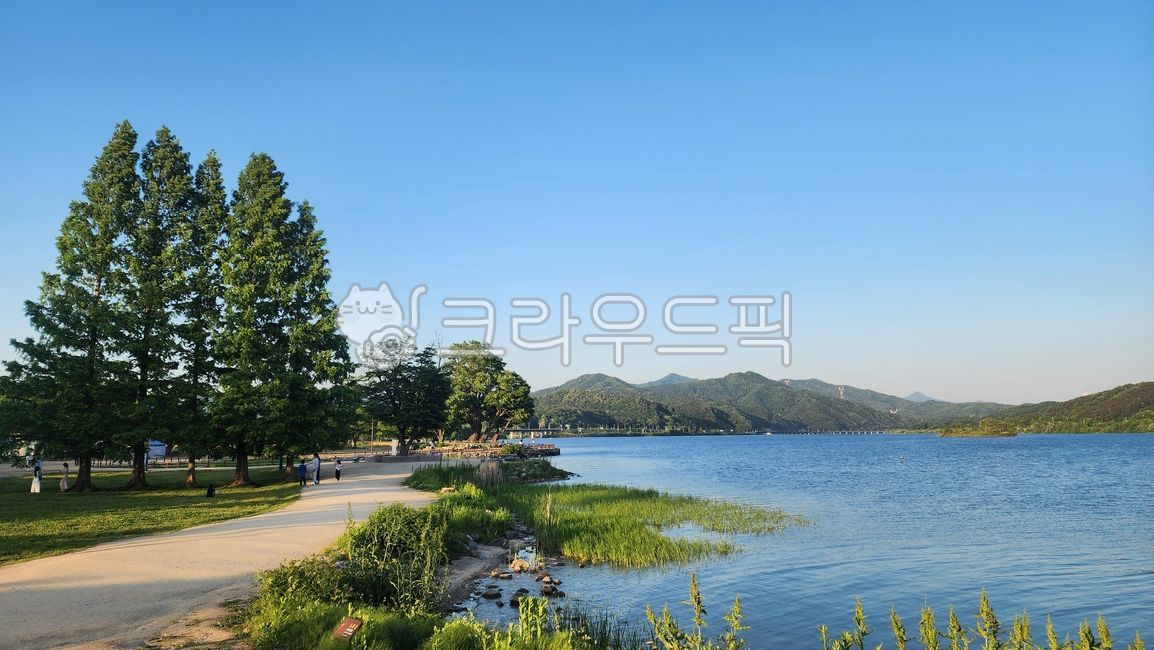Trees,water head,lake,blue sky,Yangpyeong