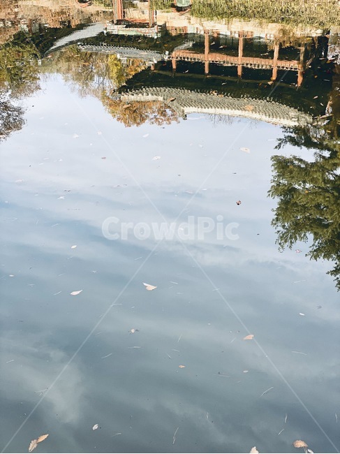 puddle,창덕궁후원,창덕궁,연못,잔상