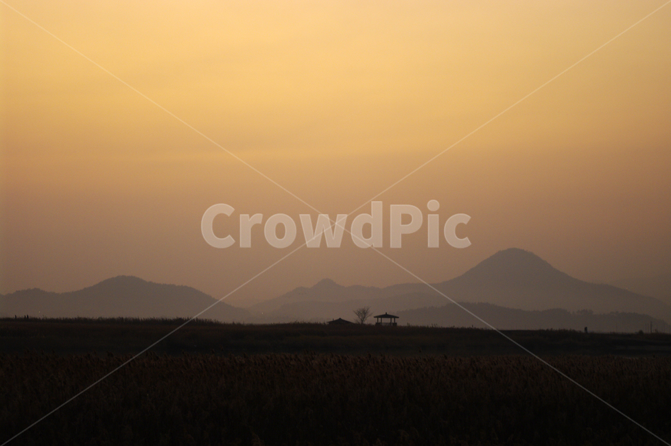 순천만,일몰,노을,풍경,갈대밭,강,하늘,그림자,자연,풍경,nature,landscape,outdoors,옥외
