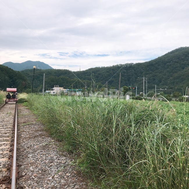레일바이크,경치,자연,산,풀,슾,건강,흙길,road,자갈,자연,풍경,nature,landscape