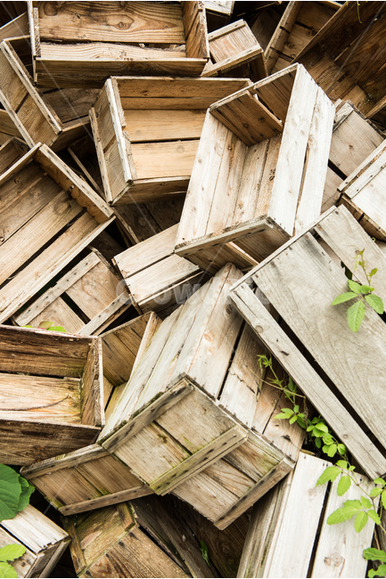 나무상자,애플박스,궤짝,버려진,나무,쌓이다,오래된,과일상자,곰팡이,복잡한,황량한,조용한,배경