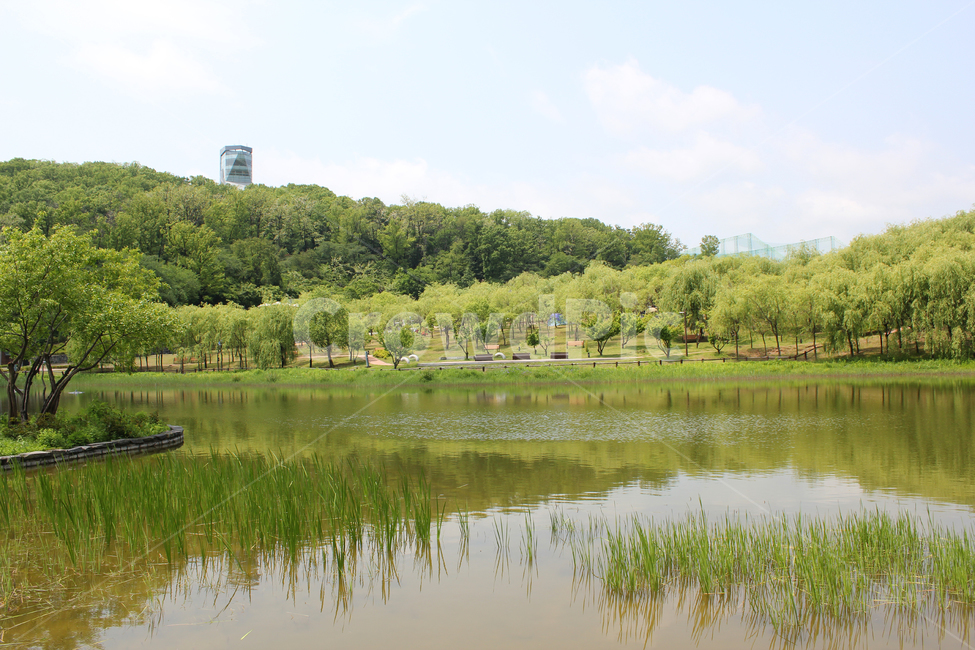 북서울꿈의숲,공원,한국,서울,정원,그린,녹색,초록색,잔디,풀,낮,자연,반영,물,호수,연못,강,강가,생태공원,생태정원,벤치,산책로,산책길,물가,호숫가,숲,산,의자,물결,나무,자연,풍경,nature,landscape,water,outdoors,옥외