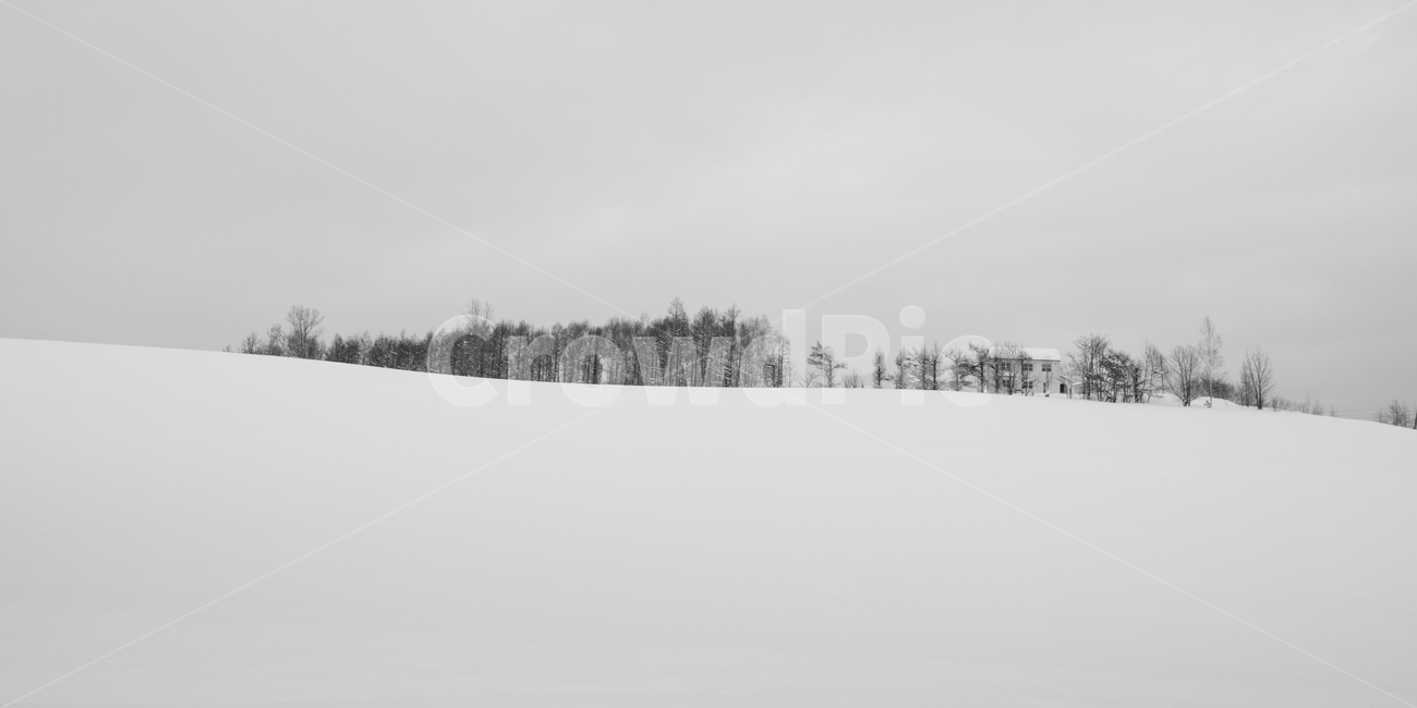 설경,비에이,겨울,눈,snow,겨울,계절,winter,season,자연,풍경,nature,landscape,해외,외국,세계,foreign,oversea,world,세계자연풍경,해외자연풍경,외국자연풍경,world nature landscape,outdoors,옥외,storm,폭풍,blizzard,눈보라