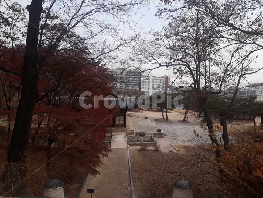 공원,바깥,야외,외부,도심공원